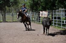  Horse Riding Adventure in the Outback