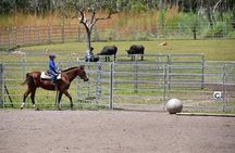  Horse Riding Adventure in the Outback