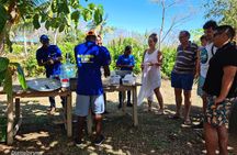 Cook, Taste, and Dance: The Authentic Rondón Experience