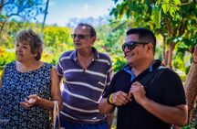 Cook, Taste, and Dance: The Authentic Rondón Experience