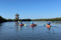 Robinson Preserve Mangrove Tour