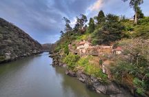 6-Days Discovery Tour of Tasmania - Comfort Style