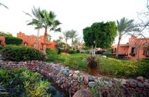 Private Felucca Sailing Nile and Visit Botanical Garden In Aswan