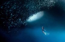 Group Tour of Moalboal Sardines Run & Kawasan Canyoneering