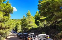 Self-Driving Off-Road Buggy Tour with Experienced Guide 