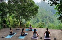 Ubud yoga, rice terrace walk and floating Breakfast tour