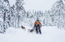 Husky Farm Visit in Rovaniemi