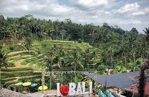 Bali Swing Packages and Kintamani Mt Batur Volcano View