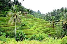 Bali Ayung River Rafting and Kintamani Mt. Batur Volcano View