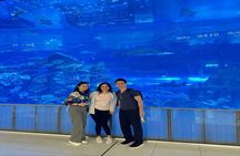  Full-Day Dubai City & Desert Safari: Private or Shared