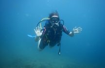 Pula PRIVATE Discover Scuba Diving