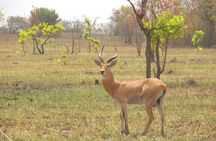Shai Hills Game Reserve, Oboadaka and Aburi Gardens Shared Tour