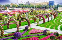 Dubai Multi-Attraction Pass with Hotel Transfers
