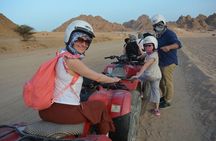 ATV horse stargazing