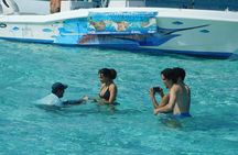 Adventure Stingray City, Snorkeling the Reef and Star Fish Point