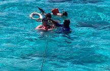Adventure Stingray City, Snorkeling the Reef and Star Fish Point