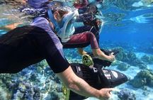 Bahamas Sea Scooter Snorkeling Adventure
