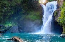Discover Ubud: Exotism Ubud and Optional Meet the Bali Shaman 