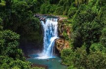 Discover Ubud: Exotism Ubud and Optional Meet the Bali Shaman 