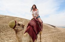 Camel ride & Quad bike Experience in sealine beach Qatar
