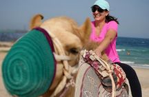 Camel ride & Quad bike Experience in sealine beach Qatar