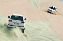 Private Half Day Desert Safari with Camel Ride