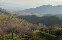 Full Day Private Tour to Fergana Valley from Tashkent
