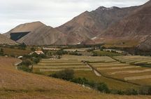 Wine Origins Route in South America La Serena and Elqui Valley