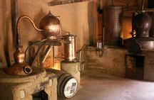 Wine Origins Route in South America La Serena and Elqui Valley