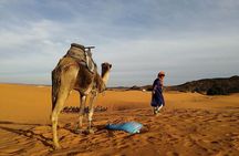 Medinas & Nature: Fez to Sahara Desert and Marrakech