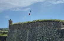 Classic Private Tour Kinsale and West Cork in modern a/c minibus
