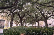 New Orleans Half Day City Driving Tour