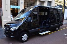 Half Day Private Tour to Vikings City Roskilde from Copenhagen