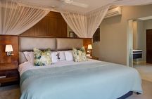 Three-Day Luxurious Shepard's Tree Safari Experience
