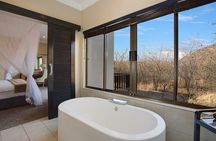 Three-Day Luxurious Shepard's Tree Safari Experience
