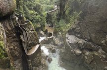 Shared and Private Bathroom Tour