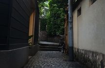 Tokyo Private Art Tour in Kagurazaka Shinjuku with Licensed Guide
