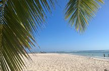 Saona Island and Chavon River Tour with Lunch and Drinks