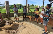 Vavavi - Fijian Cooking & Cultural Experience