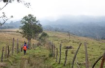 La Chorrera & Chiflon Waterfall Hike -4 hours