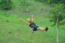 5 tours in 1 (Eco Farm/Horseback/City Tour/Buggy/Zipline) 