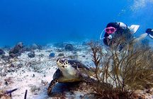 Discover Scuba Diving in Cozumel