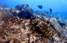 Discover Scuba Diving in Cozumel