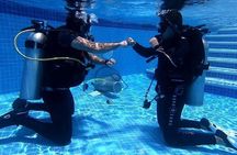 Discover Scuba Diving in Cozumel