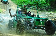 5 tours in 1 (Eco Farm/Horseback/City Tour/Buggy/Zipline) 