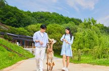 Alpaca World with Gangchon Rail Park One Day Tour