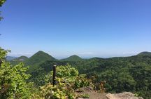 Green Season Half Day Hikes in Sapporo and Hokkaido with Onsen