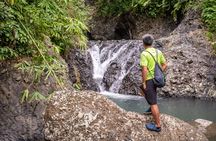 Kaura Waterfall Hike & Choose Optional Tour with Private Transfer