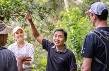 Kaura Waterfall Hike & Choose Optional Tour with Private Transfer