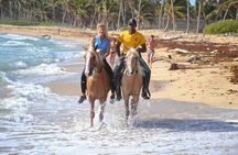 Horseback Riding Adventure Punta Cana